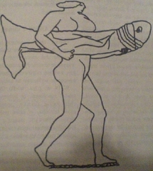 Les différentes formes du penis Les différentes formes du penis