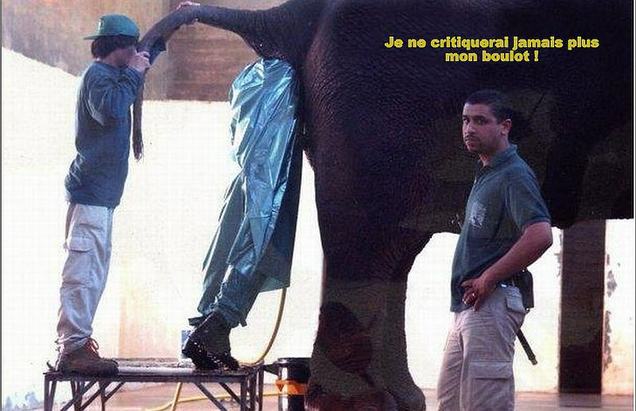Et vous pensez que vous avez un boulot de merde ?