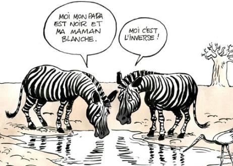Quelques histoires qui m'ont fait rire ... Quelques histoires qui m'ont fait rire ...
