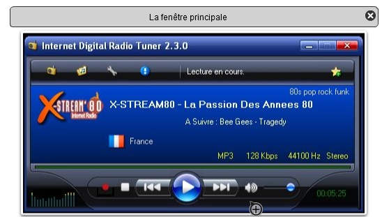 Internet Digital Radio tuner