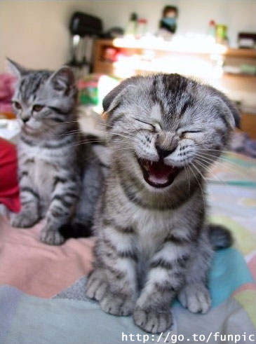 Humour, toujours ! Humour, toujours !