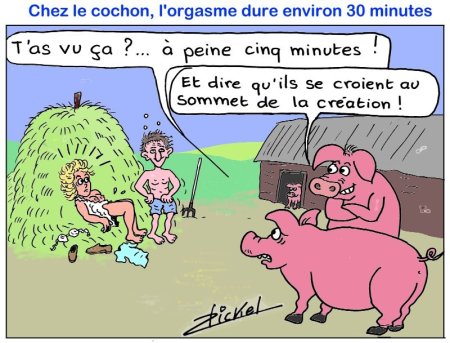 L'orgasme et la jouissance chez la femme L'orgasme et la jouissance chez la femme