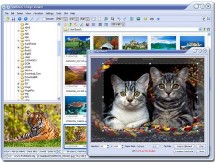 FastStone Image Viewer : Le complément indispensable de votre APN !