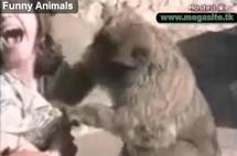 Aimez vous les animaux ?