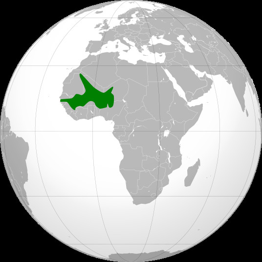 Quand l'exemple nous vient de l'Afrique