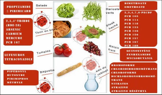 Une association alerte sur les substances chimiques contenues dans les repas des enfants Une association alerte sur les substances chimiques contenues dans les repas des enfants