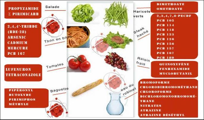 Une association alerte sur les substances chimiques contenues dans les repas des enfants