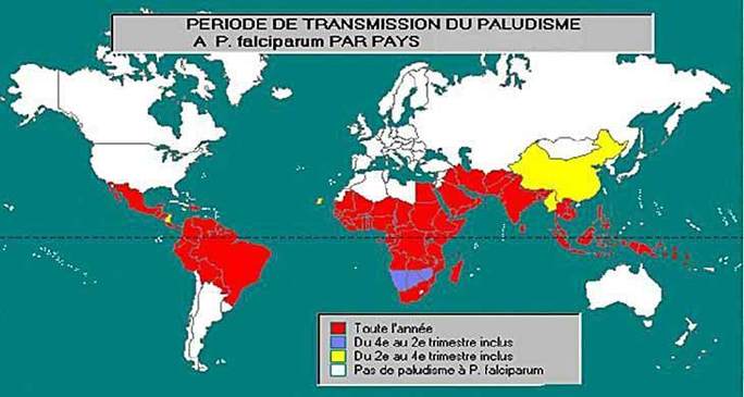 Un nouveau traitement pour le paludisme. Un nouveau traitement pour le paludisme.