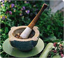 Mon plaidoyer pour les plantes médicinales Mon plaidoyer pour les plantes médicinales