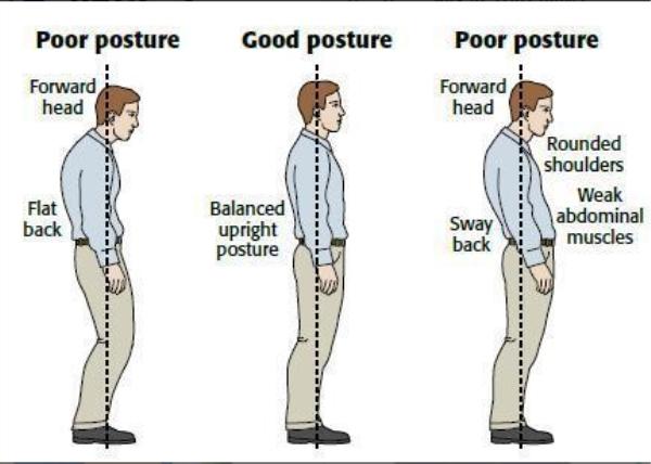 Un outil efficace pour améliorer votre posture