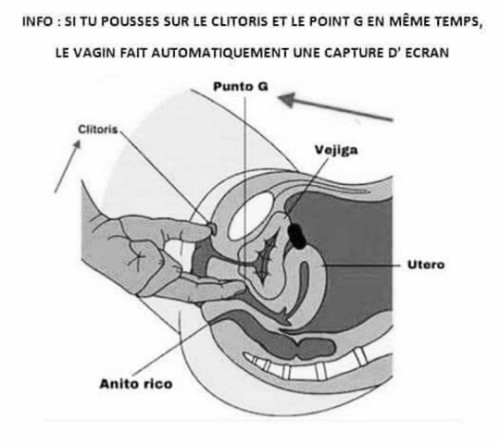 Si tu pousses sur le clitoris et le point G en même temps, le vagin fait automatiquement une capture d'écran