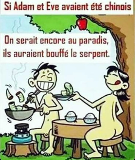 Le dessin de la semaine