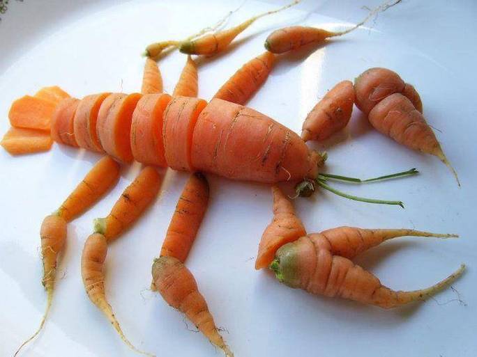 Bonne année tout de même !