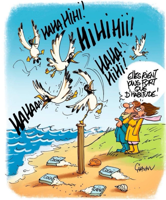 L'image de la semaine