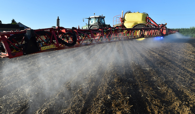 Du glyphosate, comme s'il en pleuvait