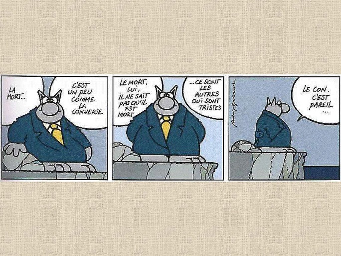 Les réflexions du Chat de Geluck