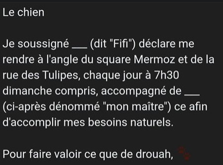 D'un autre côté ils n'auront jamais vu leur maître aussi longtemps. Ils vont être ravis.