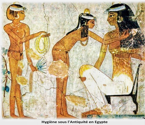 L'odyssée du papier toilette L'odyssée du papier toilette