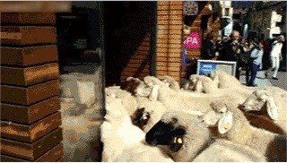 L'image du jour L'image du jour