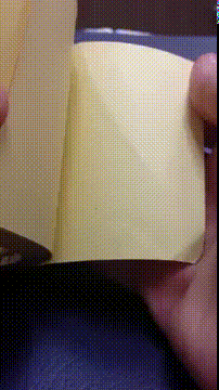 Tout sur le pénis ! Tout sur le pénis !