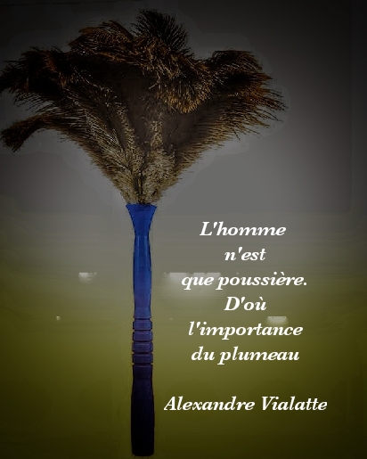 La citation du jour La citation du jour