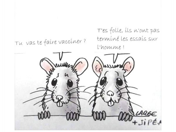 C'est à mon avis la meilleure illustration des problème que vont poser les nouveaux vaccins ARN