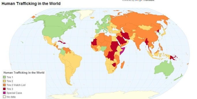 Nous sommes tous des poissons rouges ! Nous sommes tous des poissons rouges !