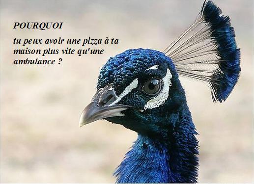 Pourquoi ? Pourquoi ?