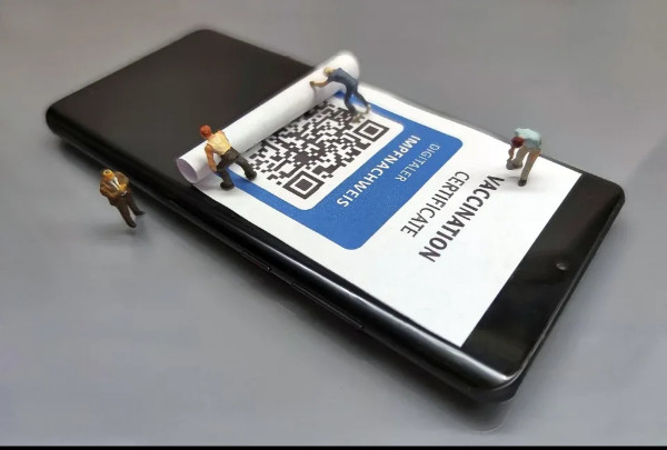 L’échec de la vaccination L’échec de la vaccination