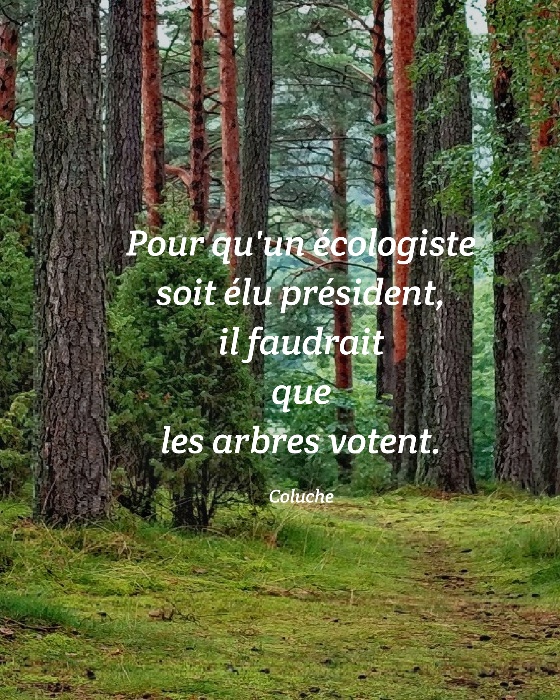 La citation du jour