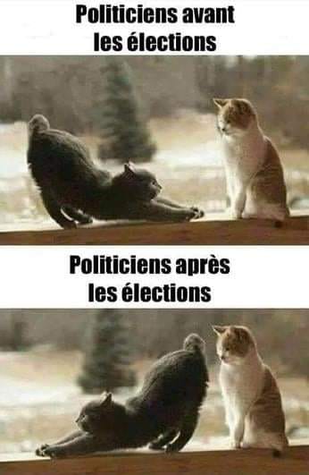 Un peu d'humour dans ce monde de brutes