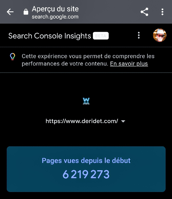 Nombre de pages vues sur ce site depuis sa création. Source Google Search Console