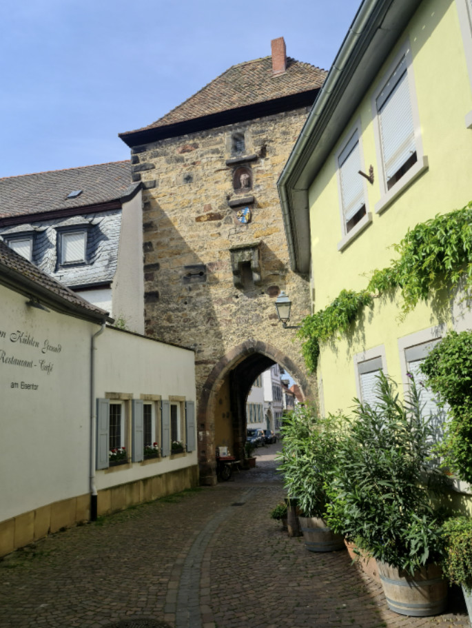 L'Allemagne de mon enfance, revisitée L'Allemagne de mon enfance, revisitée