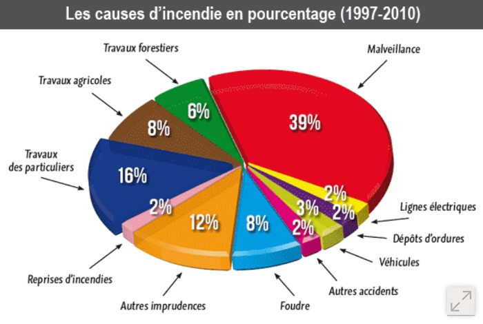 Feux de forêts : quelle sont les  causes ?