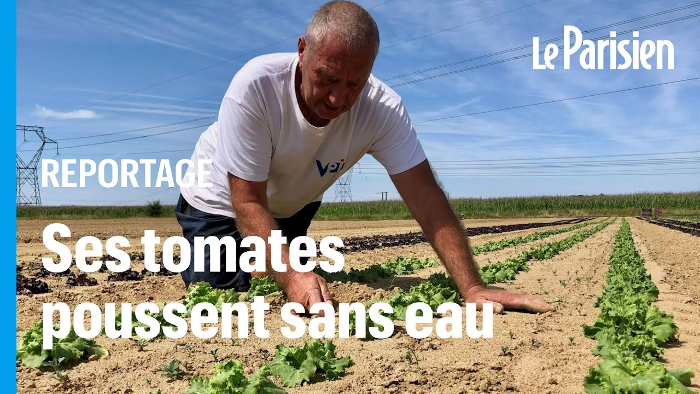 Cultiver sans eau ? La fausse bonne idée des médias