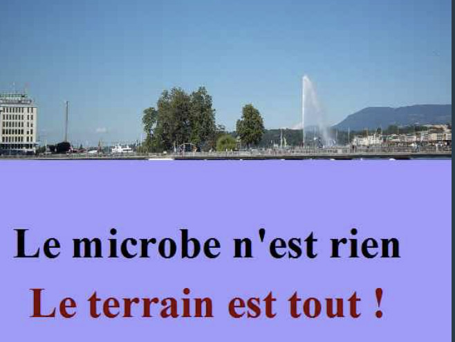 “Le microbe n’est rien, le terrain est tout.” – Une citation galvaudée ?