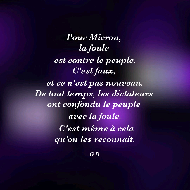 Micron, la légitimité en question