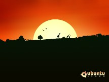 A propos de fond d'écran A propos de fond d'écran