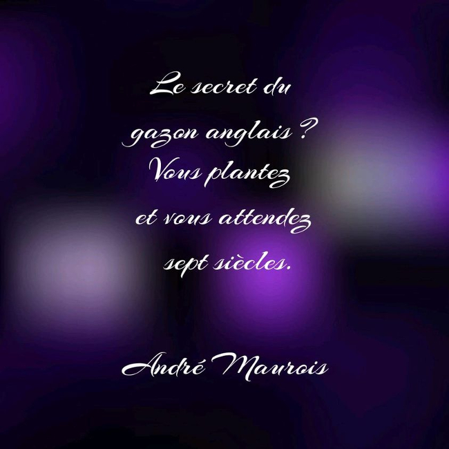 La citation de la semaine