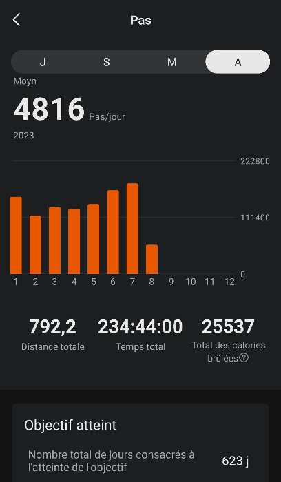 Mes stats sur l'année calculés par l'application ZEPP et ma Smartwarch Amazfit