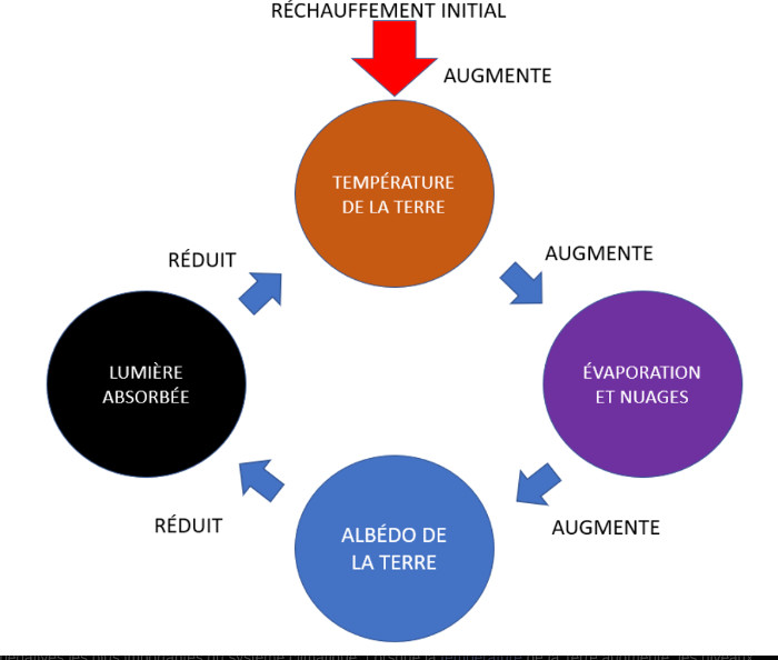 Boucle de rétroaction négative