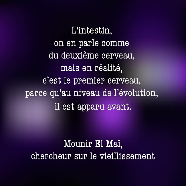 Retarder le vieillissement et lutter contre le cancer : le rôle inattendu de l'intestin !