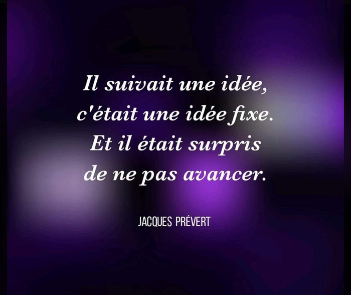 La citation du jour