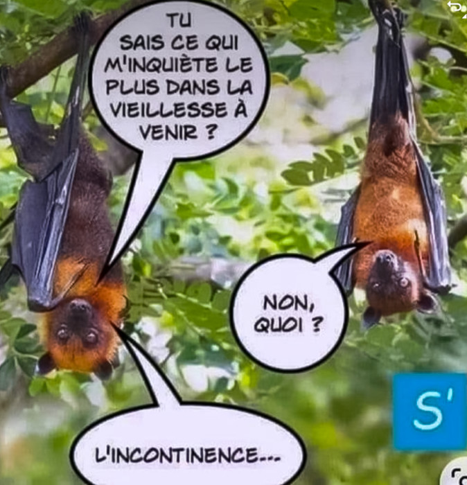 L'image de la semaine