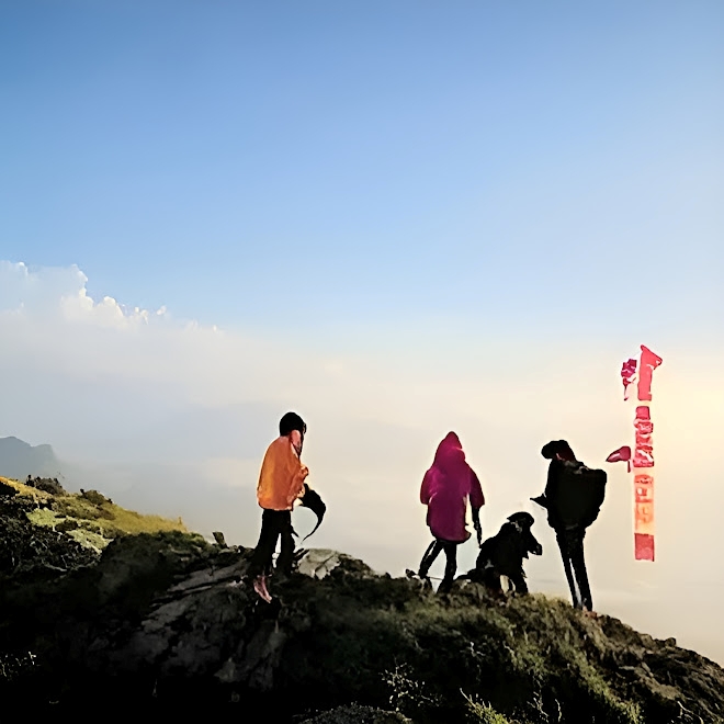 Image : Janus Pro (Deepseek). La légende à droite : "C'est la route céleste, y a pas de doute !" Image : Janus Pro (Deepseek). La légende à droite : "C'est la route céleste, y a pas de doute !"