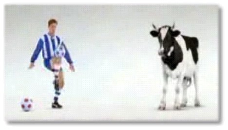 Vache de foot !