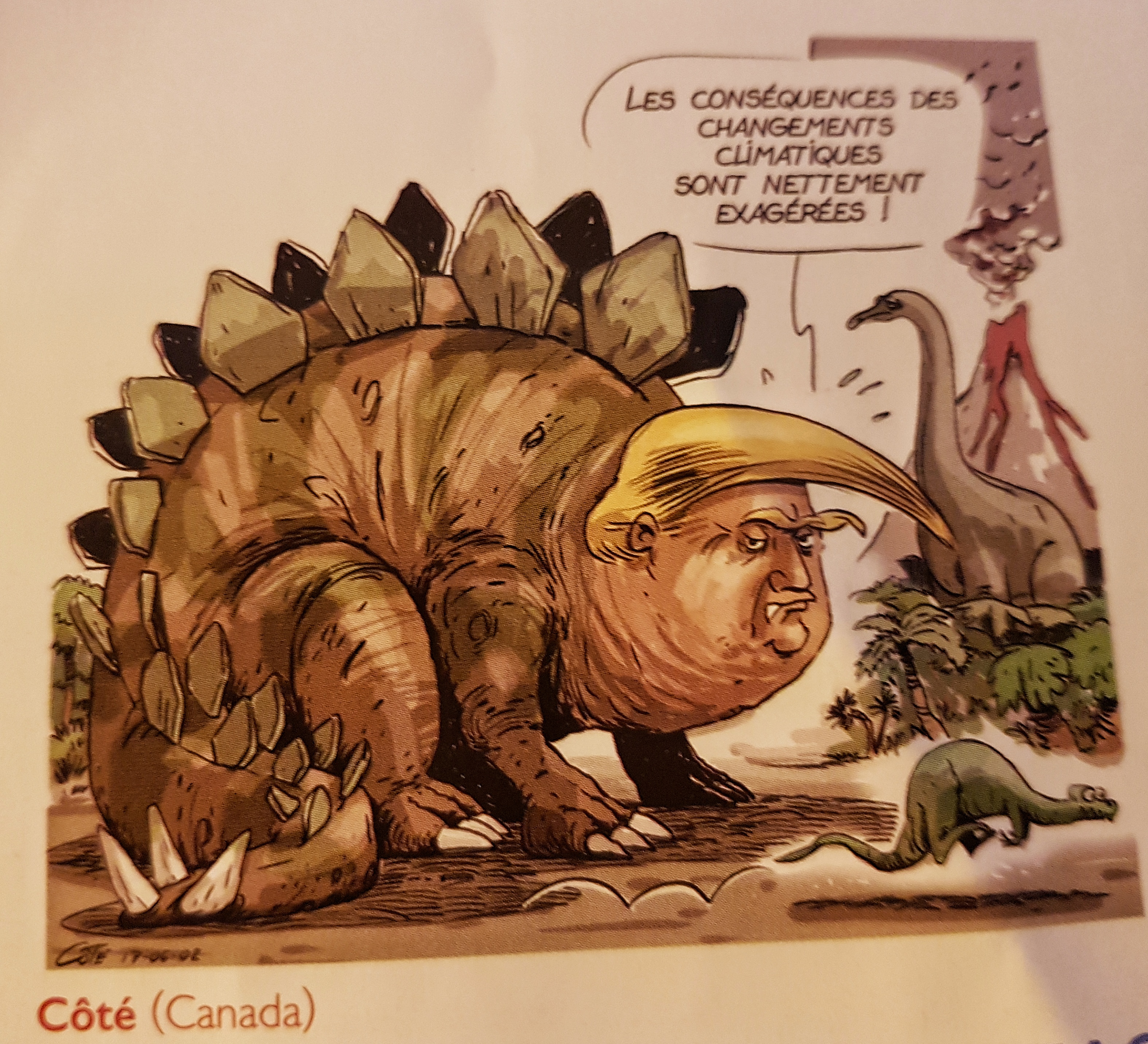 Les dessins de la semaine
