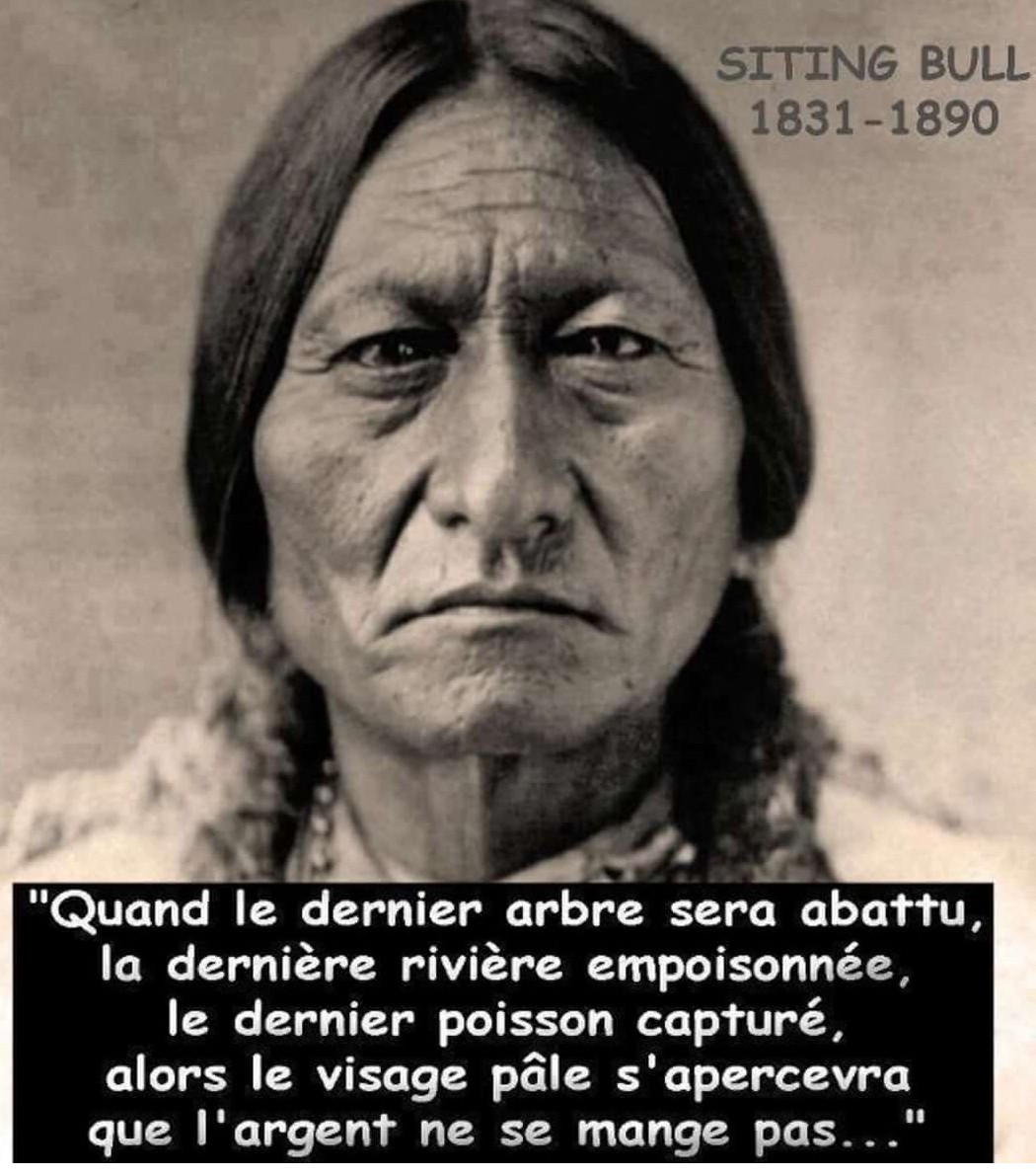 Sitting Bull avait tout prévu, y compris la fin prévisible de notre monde