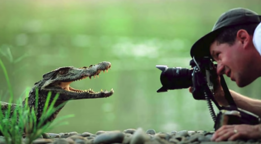 Les photographes animaliers et leurs belles rencontres
