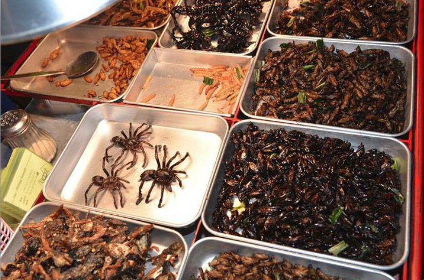 L'avenir de l'humanité ? L'avenir de l'humanité ?